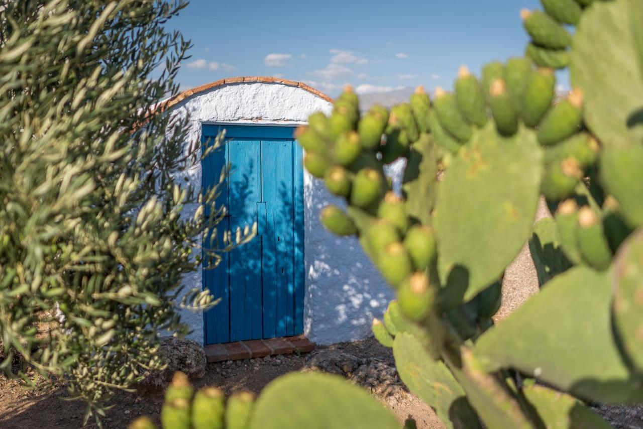 Al Agia - Mirador De Los Quinientos Padul Luaran gambar